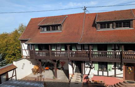 Les Perles du Ried - Gîte 1 - proche Europapark, entre Colmar et Strasbourg - Foto 1