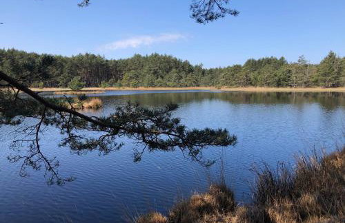 Młyńska Chata - drewniany, całoroczny dom w sosnowym lesie - Foto 22