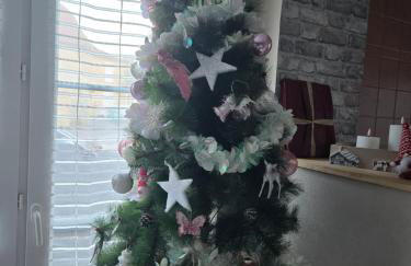 O'bocolecha - Foto 12