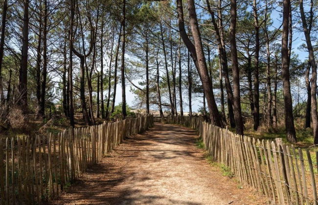 House Near Lake Biscarrosse - Photo 20