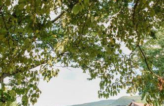 Moonlight Cottage - Your Romantic & Scenic Escape - Foto 26