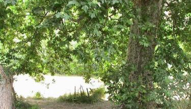 Le Gîte du bonheur - Foto 3, Garden