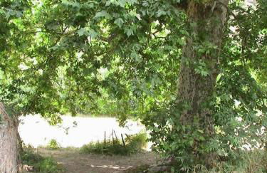 Le Gîte du bonheur - Foto 6