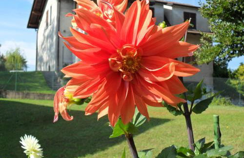 I TRE FAGGI - Foto 18