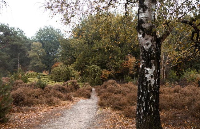 Villa w/ Sauna & Bubble Bath - Foto 32