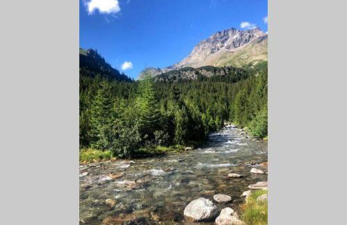 VIVI SERENO, uno stile si vita! - Foto 25