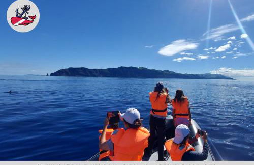 São Jorge Holiday Homes - Photo 31