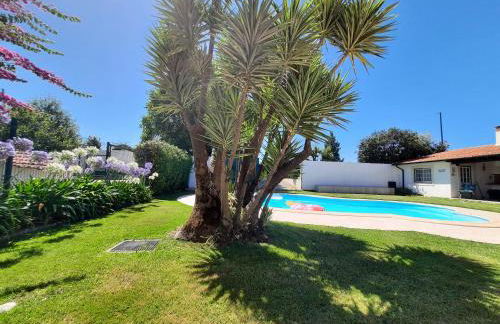 QM - Quinta da Morgadinha - Casa em Quinta Rural - Foto 49