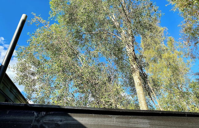 Refugio 14 With hot tub in the Forest - Foto 17