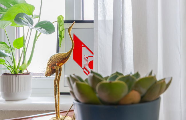 MuchMore Frunze - Foto 1