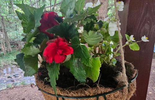 Nad Potokiem z Alpakami - Foto 76