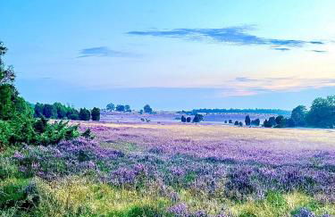 BigOak Wintermoor Schneverdingen - Foto 20