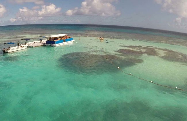 Stingray Spotting Experience in Stingray City Antigua - Photo 3