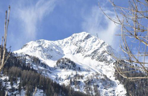 Chalet Schwarzenstein - Photo 11