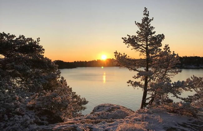 Dream Cottage in the Stockholm Archipelago - Foto 11