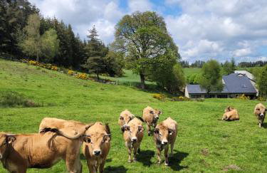 Gîtes de Charme 6 ou 8 personnes en Aubrac chez Sébastien & Stéphanie - Foto 50