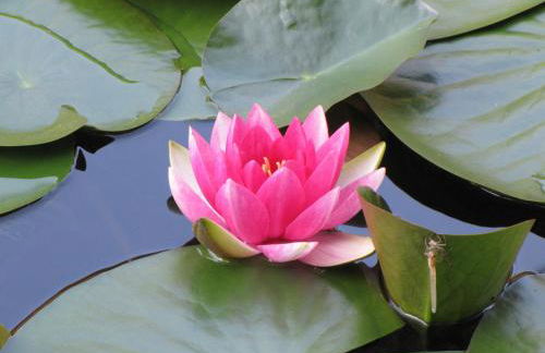 Stollenklause - Foto 41