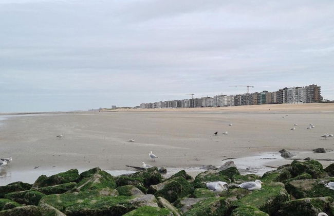 Luxurious Villa in a Residential Location - Foto 35