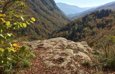 Appartamento La Volpe - Foto 21