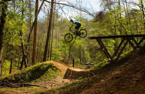 Club Coler- Ultimate Bike Home-Near DT - Foto 2