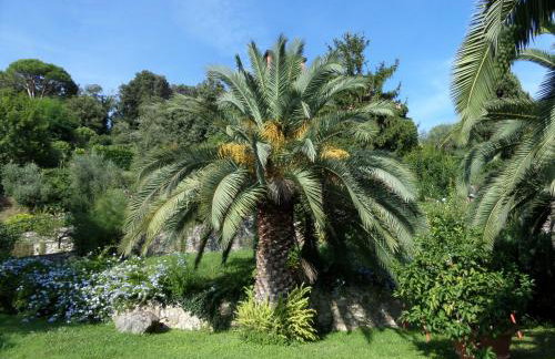 "Torretta House", inside Le Agavi Private Park on Lerici hill, shared Pool and Tennis, AC, parking next door, additional parking in Lerici, Cooking Lesson and Wine Tasting - Photo 42