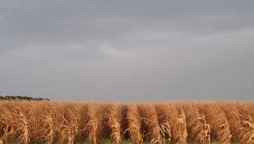 Cowboy Cottage, Country Charm - Foto 5