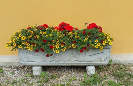 Hiža Golubić - Foto 31