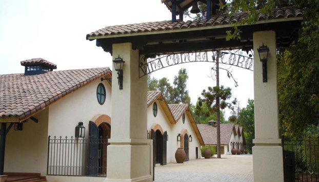 Visite viticole de Concha y Toro - Photo 5