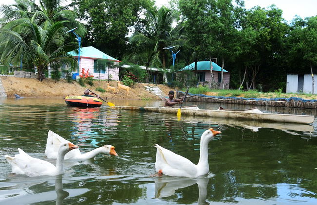 Daaven's Island Resort - Photo 30