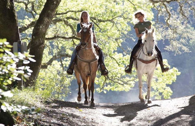Paseo a caballo por el Chianti - Foto 3