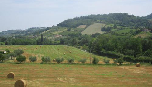 Fattoria Bertaccini - Foto 5