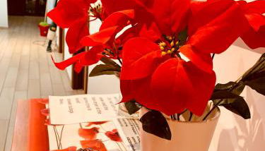 Family in Rome - Foto 2