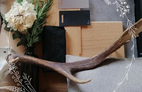 Bayerwald Chalet Liebenstein - Foto 21