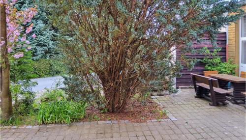 Nice Apartment In Bad Schandau- Kleing - Foto 5