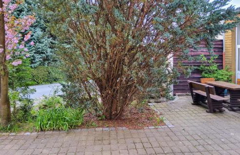 Nice Apartment In Bad Schandau- Kleing - Foto 5