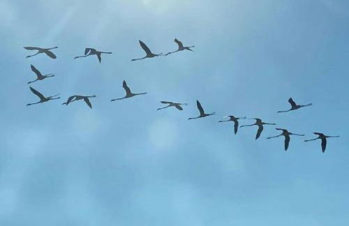 Casa Mar Roquetes - Foto 28