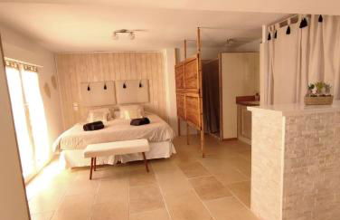 Studio Alpilles avec parking et spa privatif - Foto 10