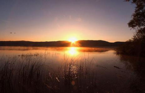Ferienwohnung Rodder Maar - Foto 12