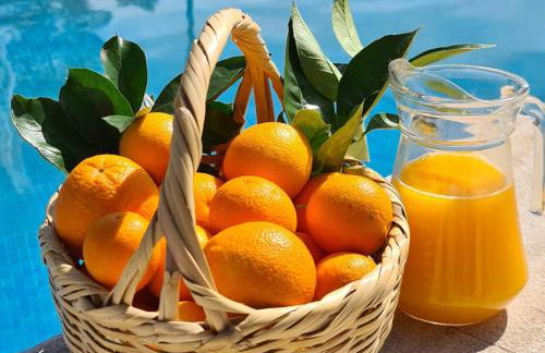 Quinta da Utopia - Foto 47