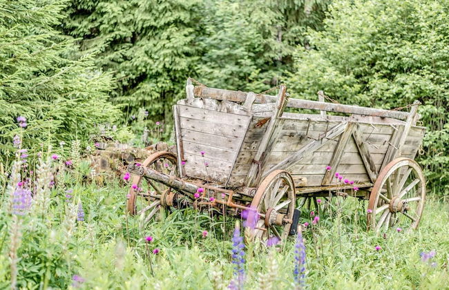 Ferienhaus mit Schwimmbad in Jagersgrun - Foto 20