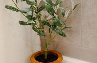 Cozy Downtown Havens - Foto 63