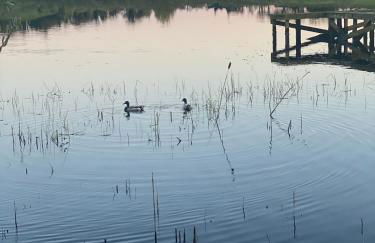 Killyfole lakeside lodges - Foto 67