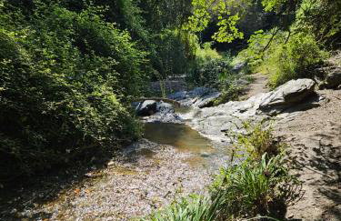 Poolside Apartment Barcelona Sant Cugat - Foto 39