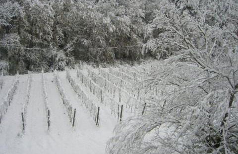 La Torre wine resort - Foto 118