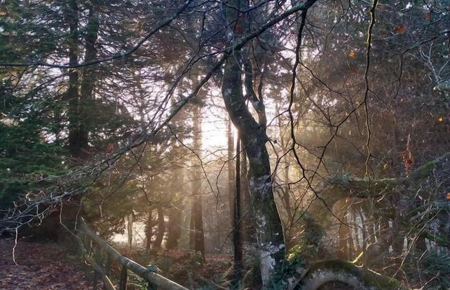 Lakeview Cottage - Foto 27