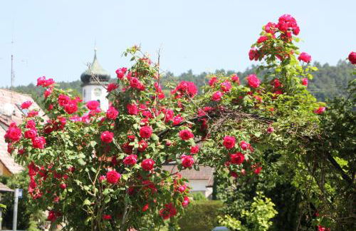 Ferienwohnung Riedblick-Süd-West - Photo 23