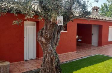 La Mazuela - Foto 39