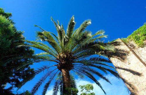 Ca'n Perlita - Foto 37