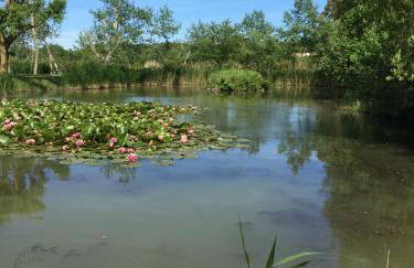 Jard marais océan - Photo 4