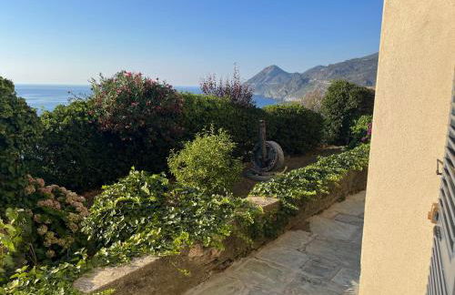 Studio dans maison typique du cap Corse - Foto 22